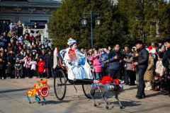 《大家拍》2025年07月主题摄影月赛入围作品